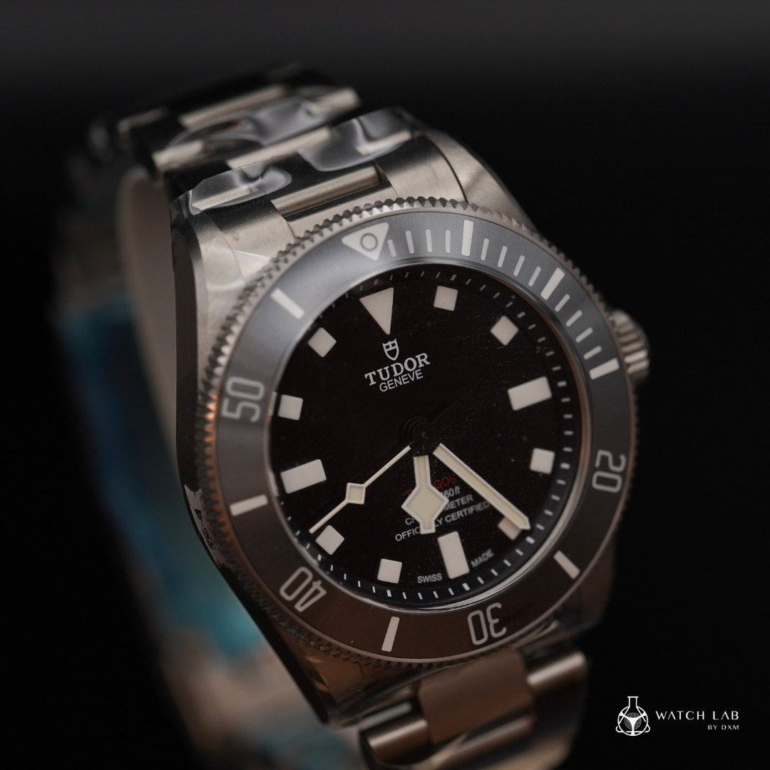 TUDOR 帝舵腕錶 | BLACK BAY PRO M79470